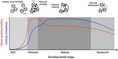 Editorial: Development of Circadian Clock Functions